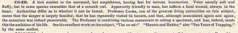 The "Encyclopaedia Collegia" Defines a "Co-ed"