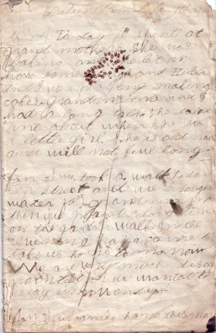 Zatae Longsdorff's Childhood Diary, 1874