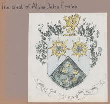 Alpha Delta Epsilon: New Plans (3)